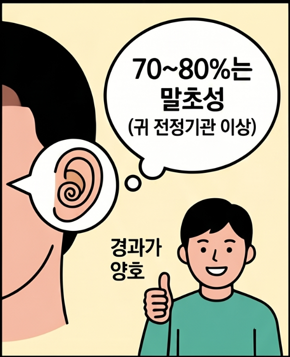 회전성 현훈과 실신감 등 어지럼증 종류를 설명한 안내 이미지